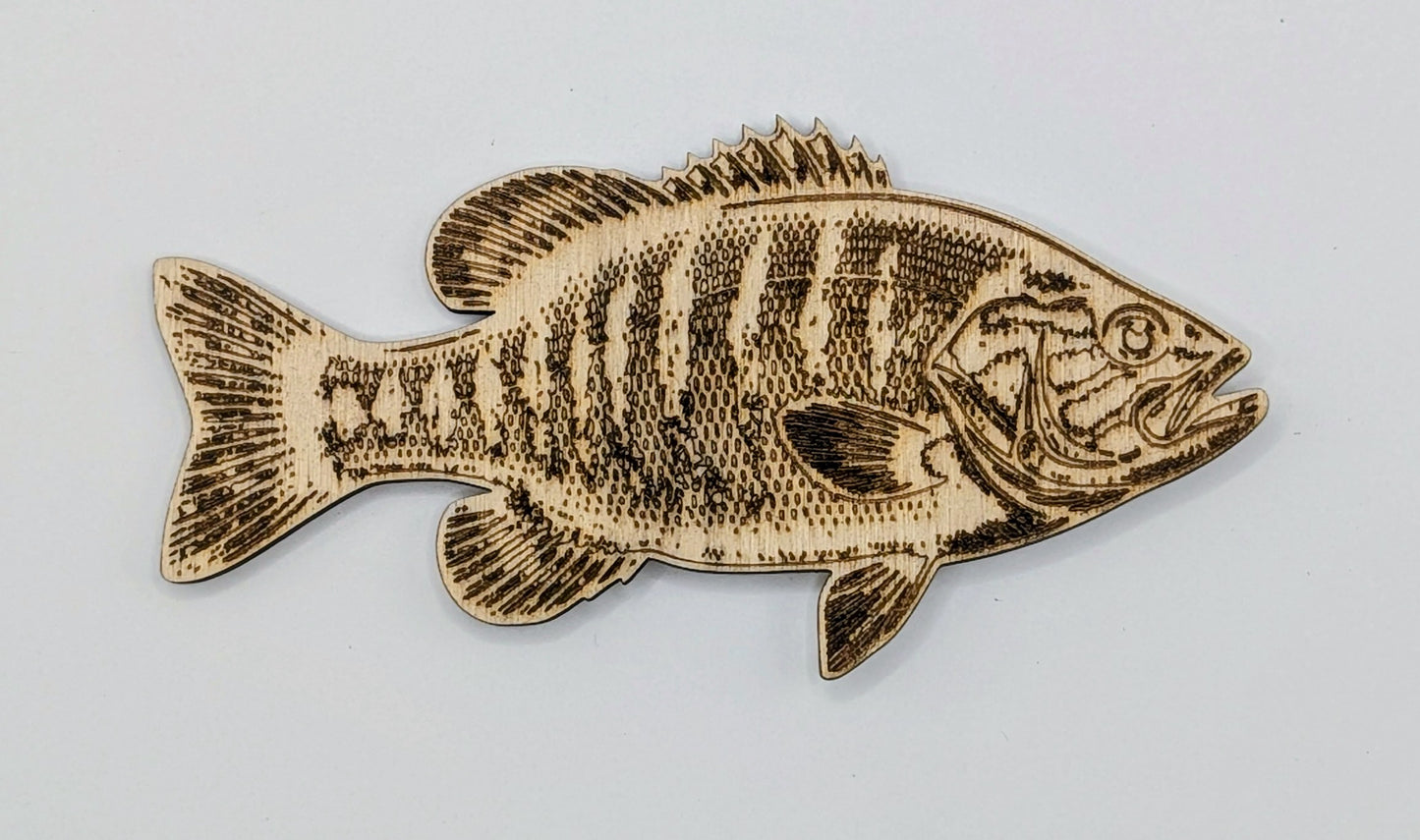 Fish Magnets