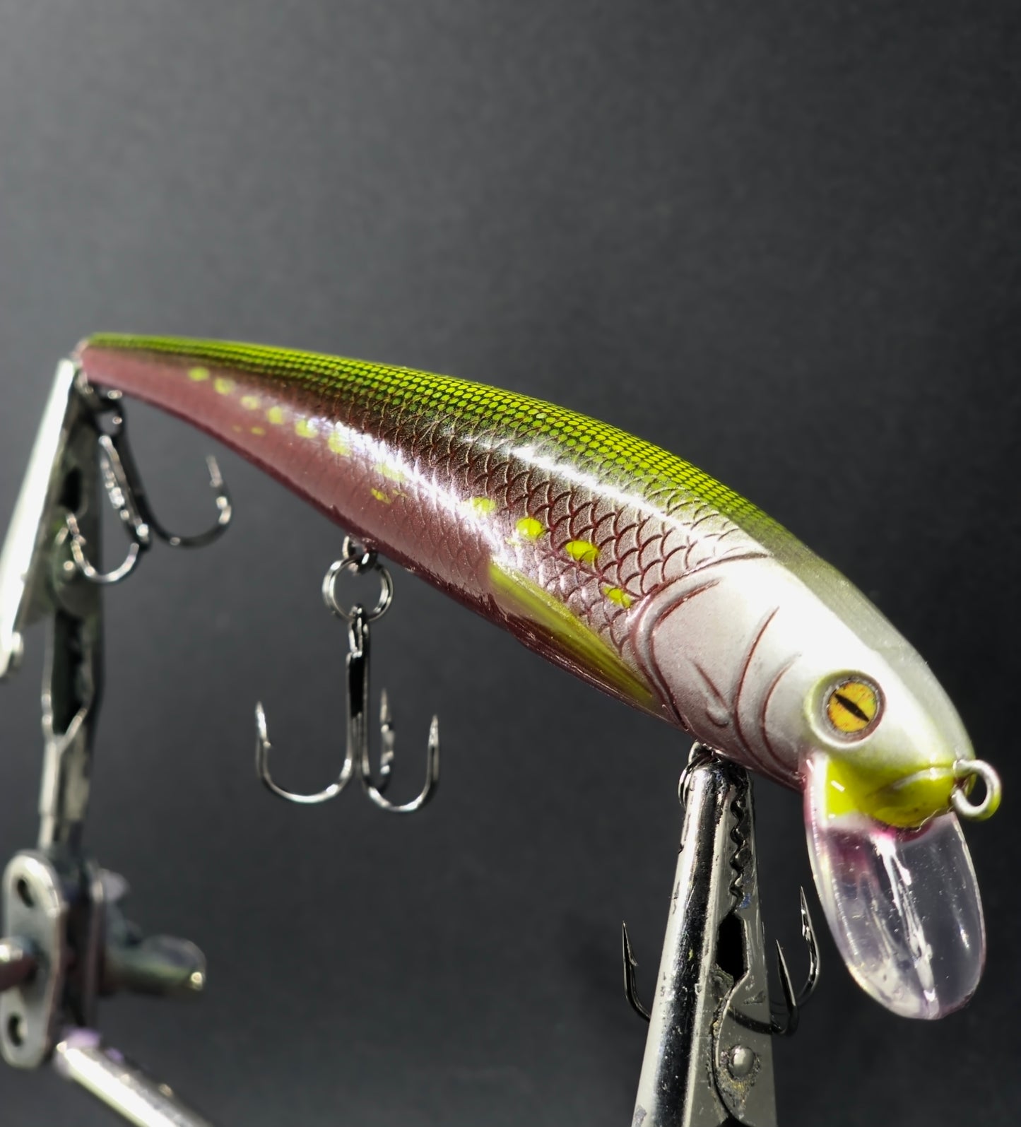 5" Floating Jerk Bait