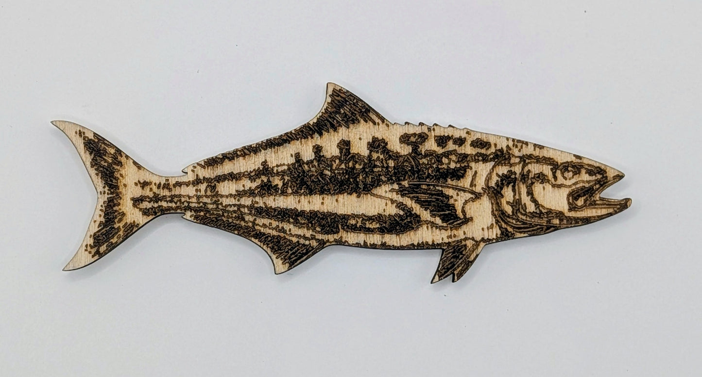 Fish Magnets
