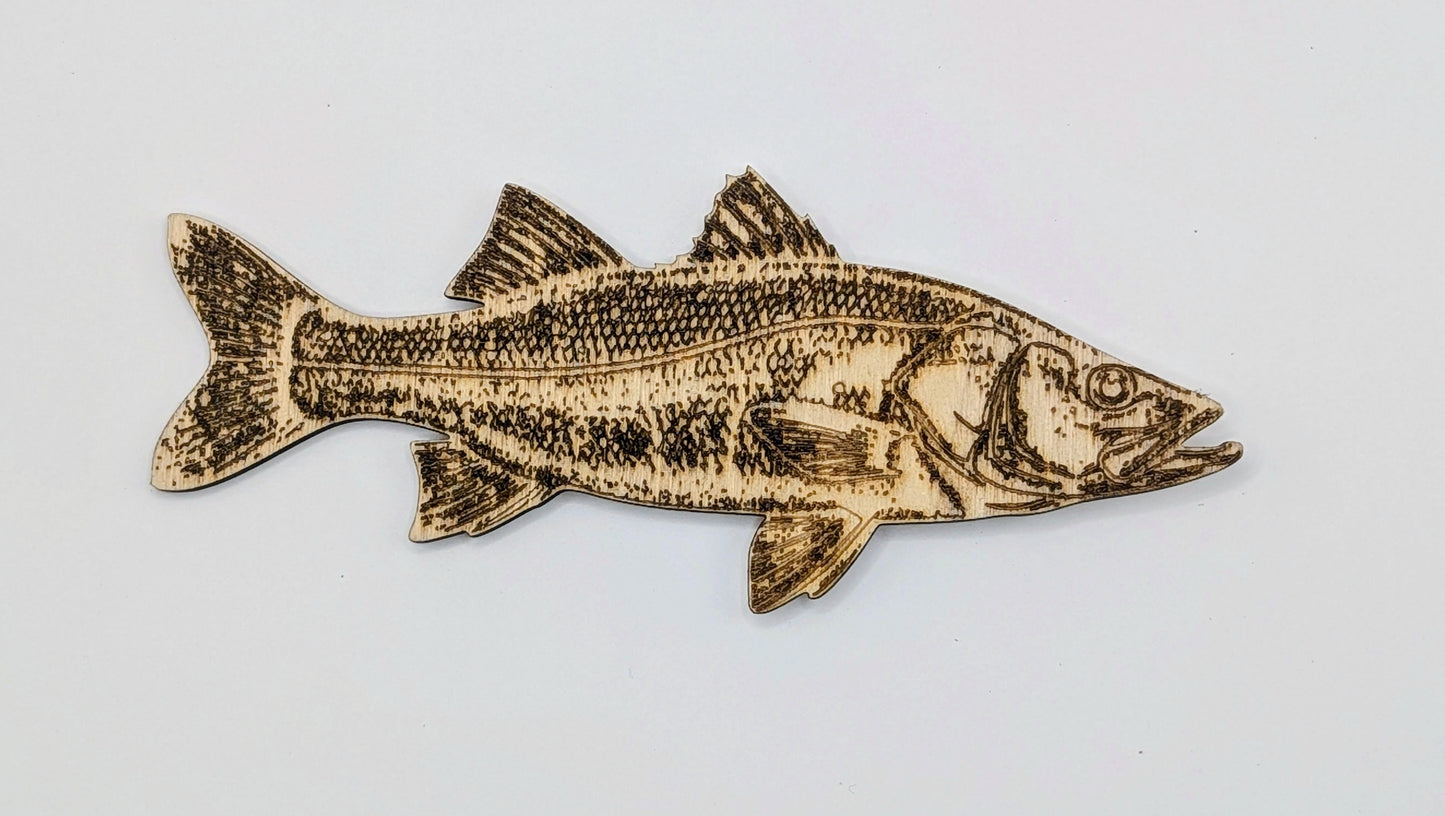 Fish Magnets