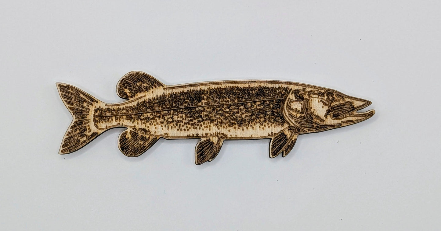 Fish Magnets