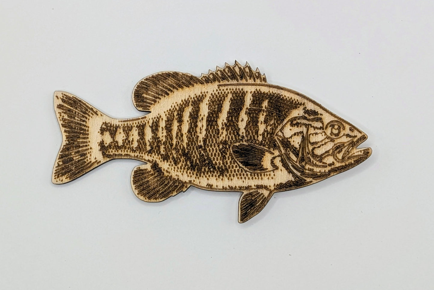 Fish Magnets