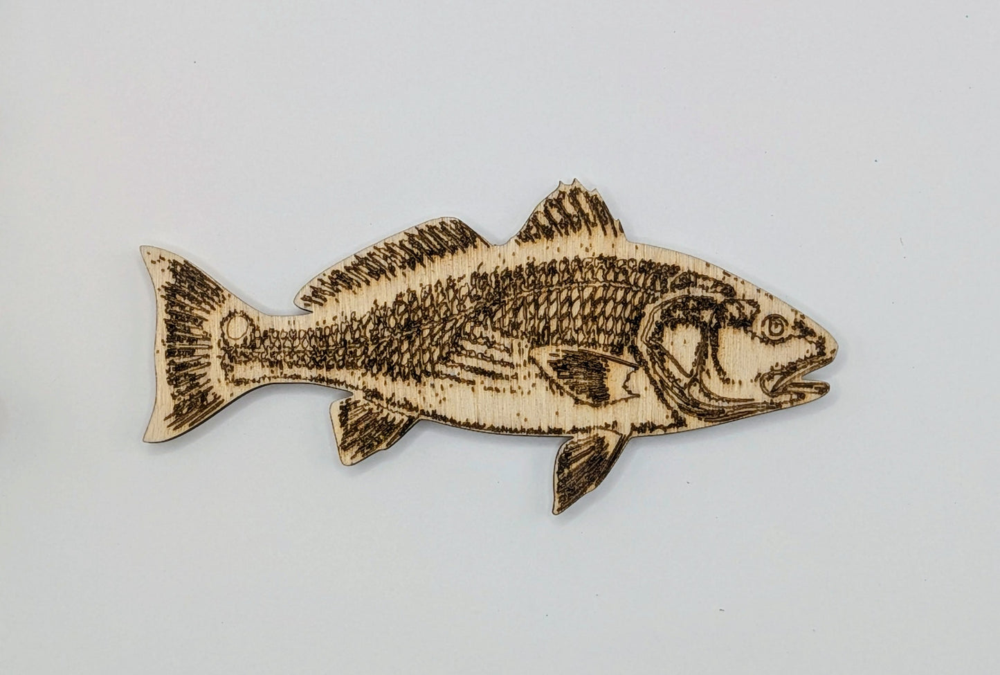 Fish Magnets