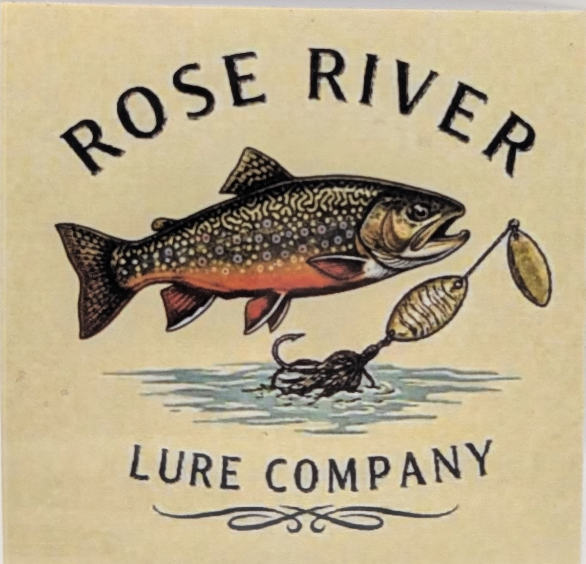 Brook trout sticker
